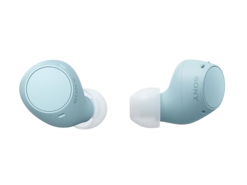Sony WF-C510 Truly Wireless Earbuds – Small, Light, Bluetooth In Ear Headphones with Multipoint Connection, Ambient Sound, IPX4 Rating, Spotify Tap, Quick Charge, 22 HR Battery, iOS & Android - White
