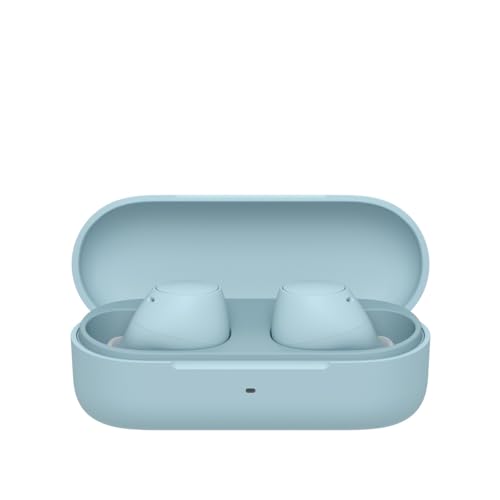Sony WF-C510 Truly Wireless Earbuds – Small, Light, Bluetooth In Ear Headphones with Multipoint Connection, Ambient Sound, IPX4 Rating, Spotify Tap, Quick Charge, 22 HR Battery, iOS & Android - White
