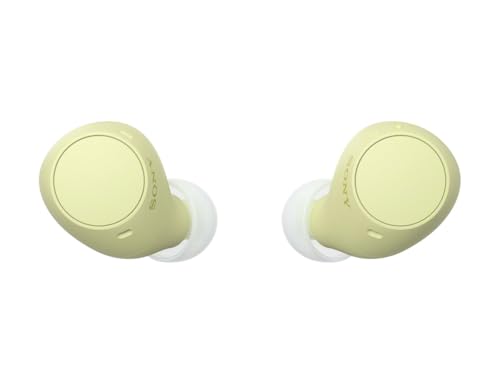 Sony WF-C510 Truly Wireless Earbuds – Small, Light, Bluetooth In Ear Headphones with Multipoint Connection, Ambient Sound, IPX4 Rating, Spotify Tap, Quick Charge, 22 HR Battery, iOS & Android - White