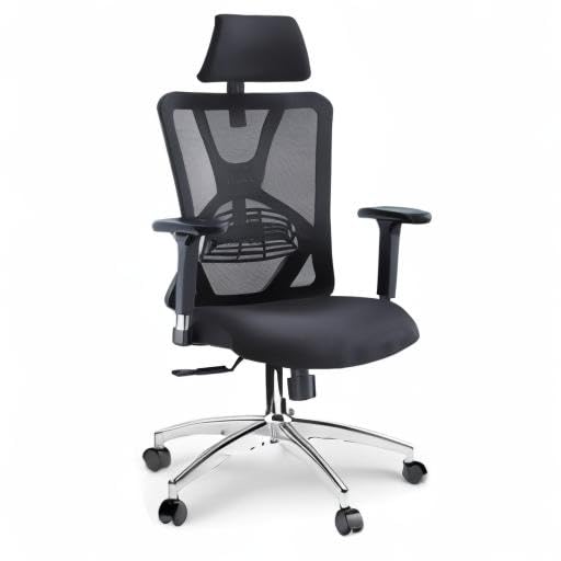 Ticova Ergonomic Office Chair - High Back Desk Chair with Adjustable Lumbar Support