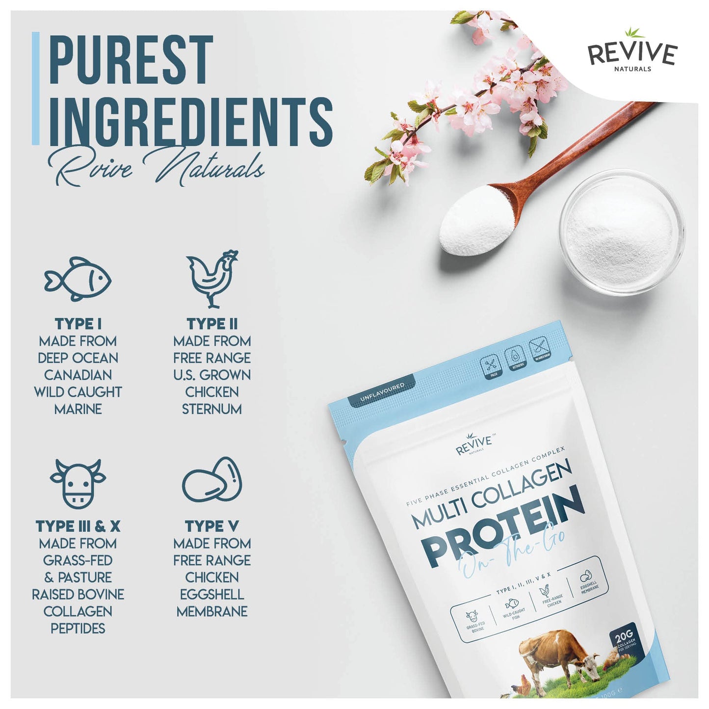Multi Collagen Protein Powder 400g
