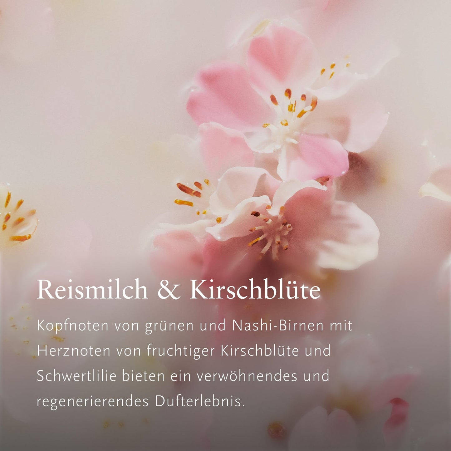 RITUALS Gift Set The Ritual of Sakura Small - Home and Skincare Products Enriched with Cherry Blossom and Rice Milk - Bath Gift Box with Renewing Properties