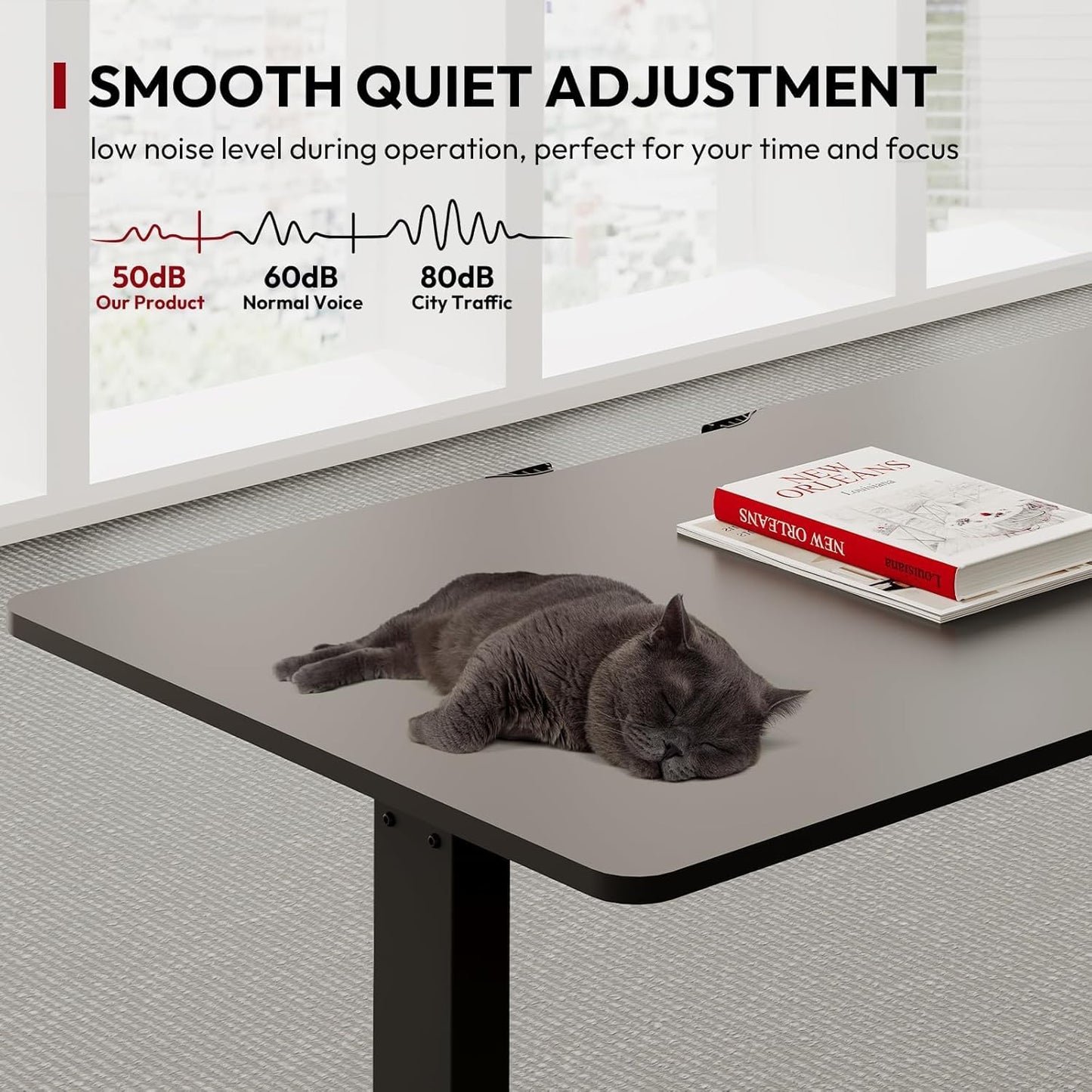 SANODESK QS+110 * 60 Electric Standing Desk