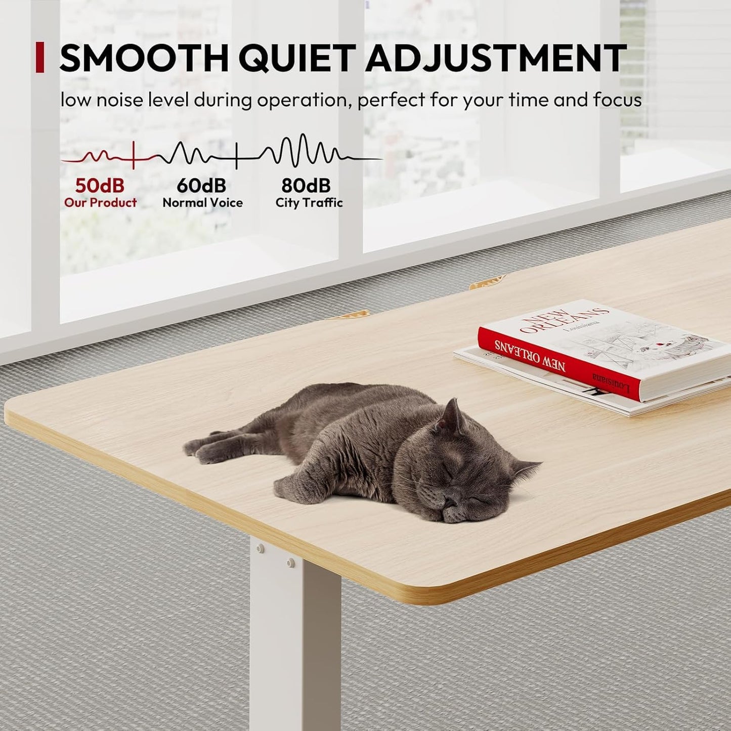 SANODESK QS+110 * 60 Electric Standing Desk