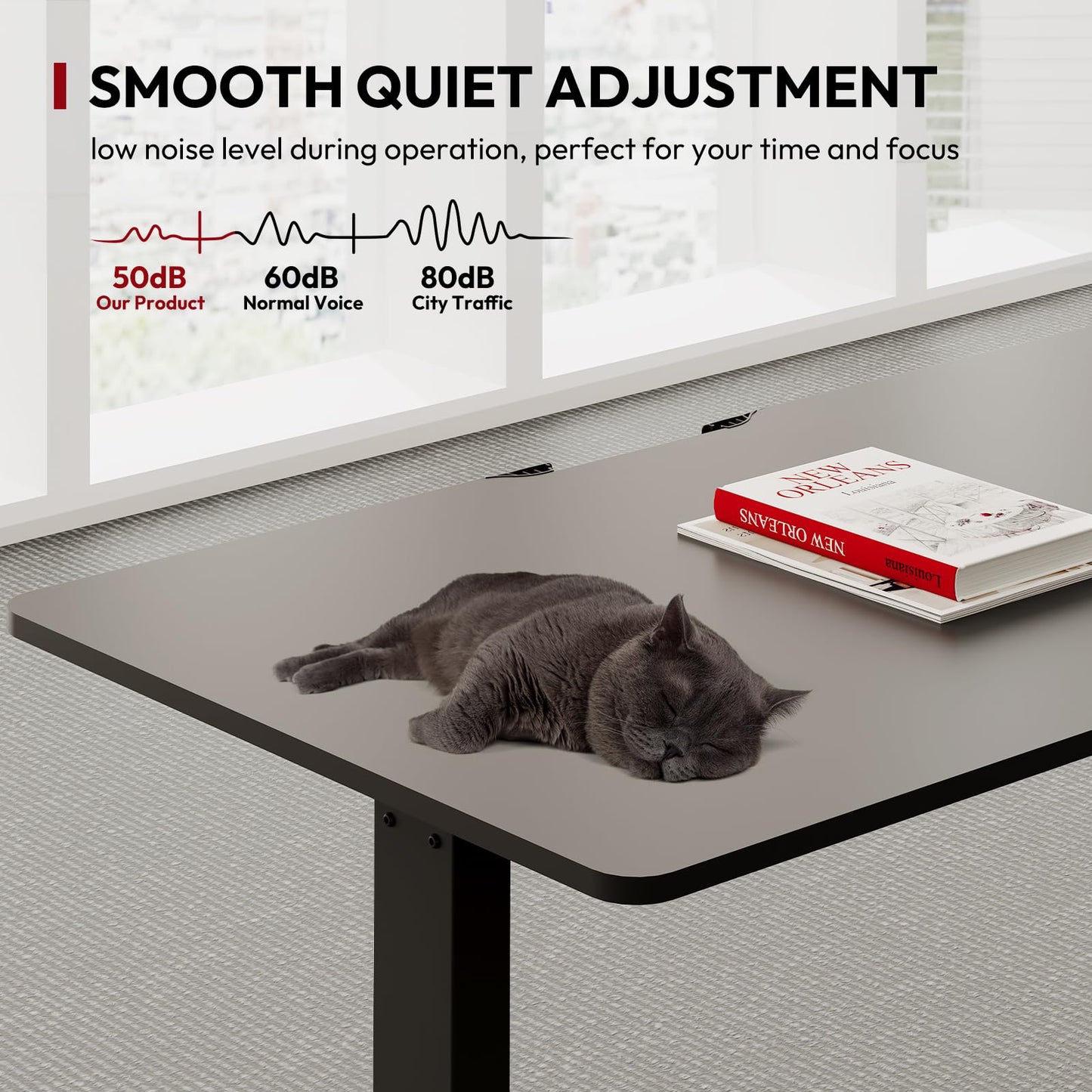SANODESK QS+110 * 60 Electric Standing Desk