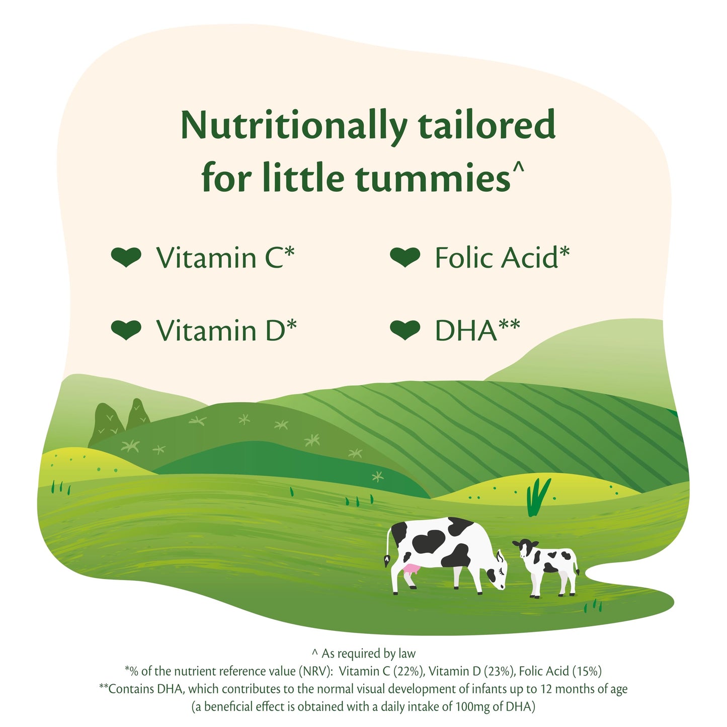 HiPP Organic 2 Follow on Baby Milk Powder Formula, From 6 Months, 800g (Pack of 4)