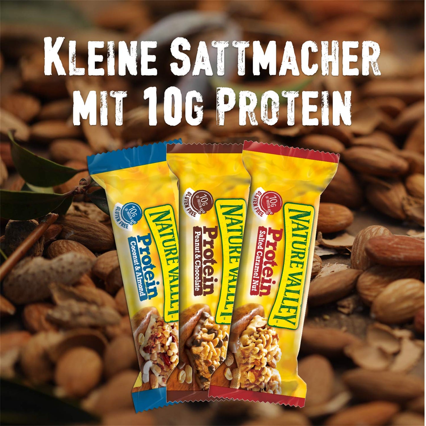 Nature Valley Protein Peanut & Chocolate