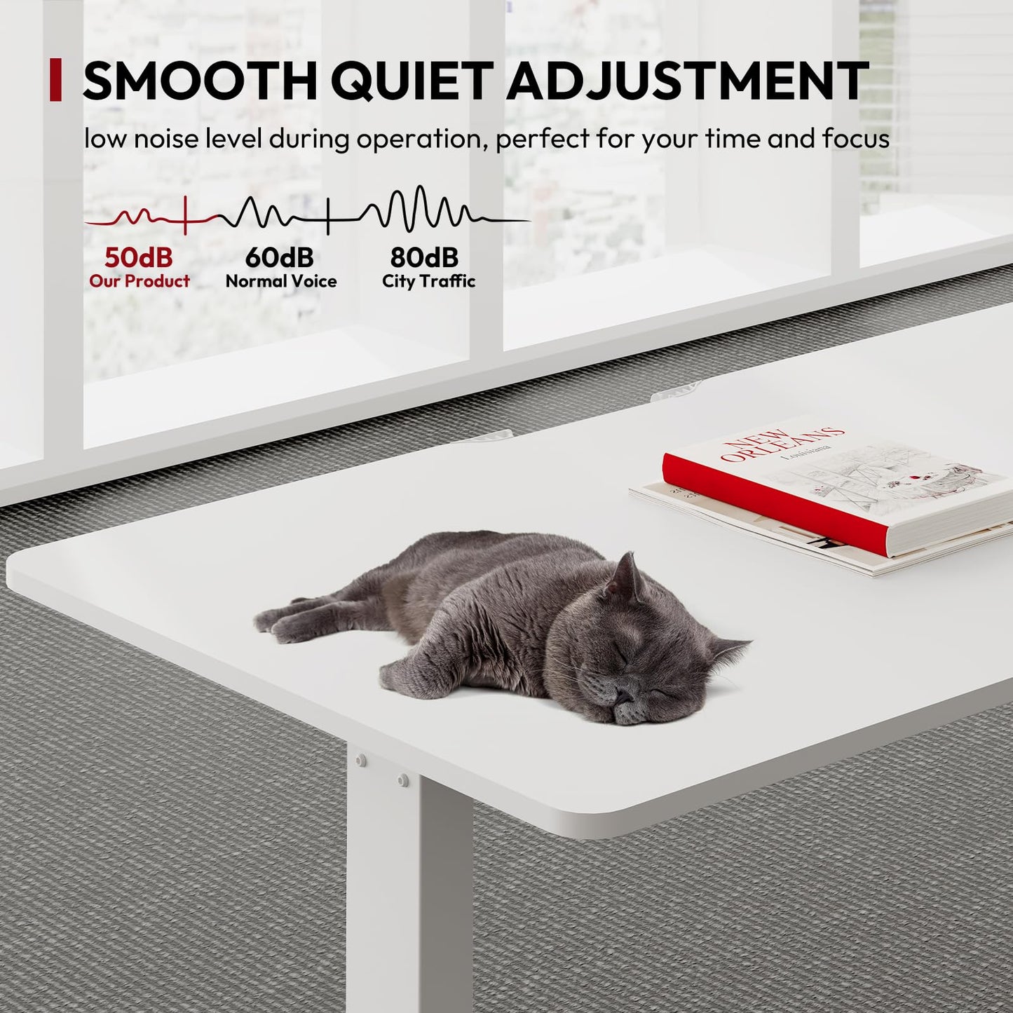 SANODESK QS+110 * 60 Electric Standing Desk