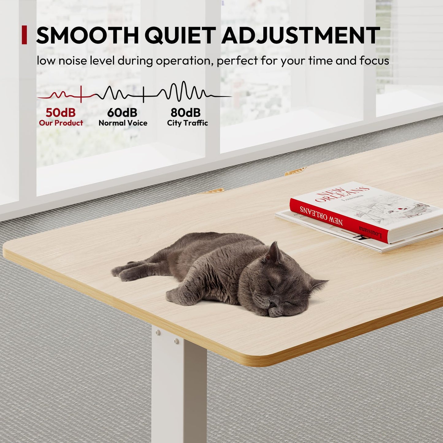 SANODESK QS+110 * 60 Electric Standing Desk