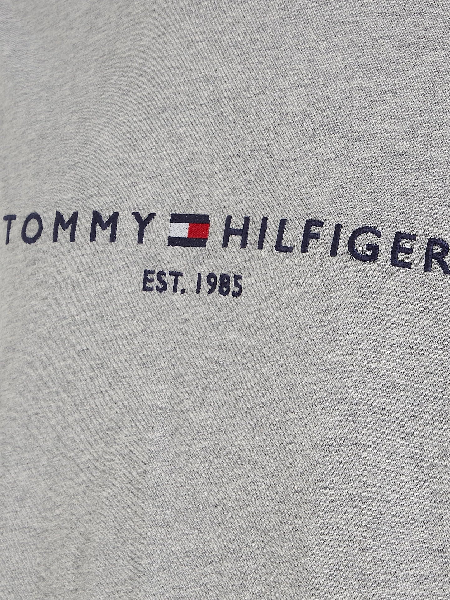 Tommy Hilfiger Men's T-Shirt