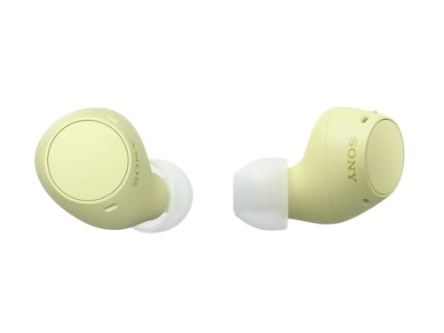Sony WF-C510 Truly Wireless Earbuds – Small, Light, Bluetooth In Ear Headphones with Multipoint Connection, Ambient Sound, IPX4 Rating, Spotify Tap, Quick Charge, 22 HR Battery, iOS & Android - White