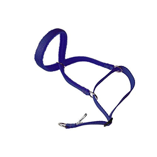 SWAG Fleece Lined Headcollar (Medium)