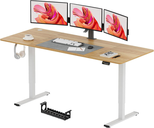 SANODESK QS+110 * 60 Electric Standing Desk