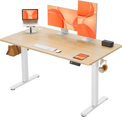 ErGear Electric Standing Desk Height Adjustable