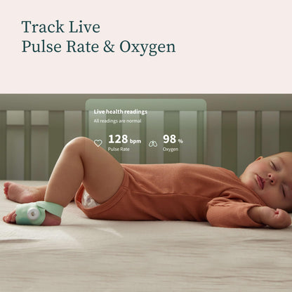 Owlet® Dream Bundle 2 Smart Baby Monitor