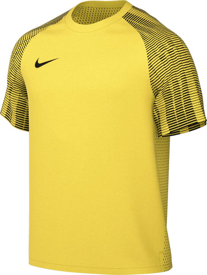 NIKE Men's M Nk Df Academy JSY Ss T-Shirt