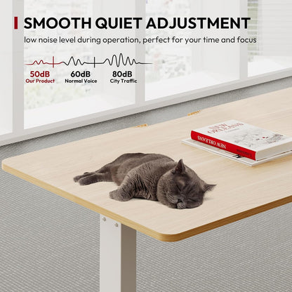 SANODESK QS+110 * 60 Electric Standing Desk