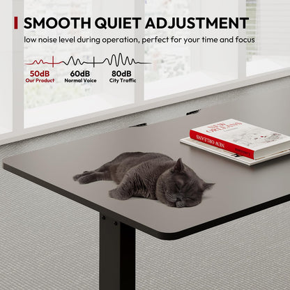 SANODESK QS+110 * 60 Electric Standing Desk