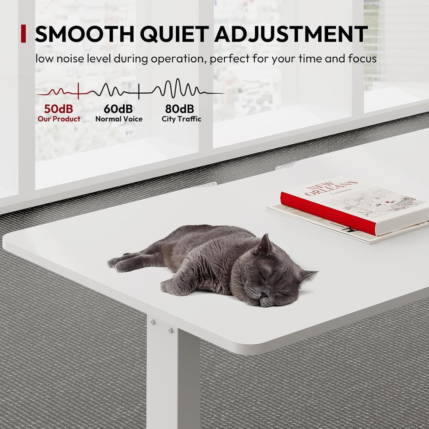 SANODESK QS+110 * 60 Electric Standing Desk