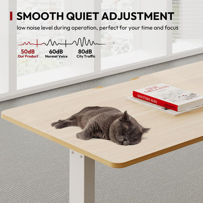 SANODESK QS+110 * 60 Electric Standing Desk